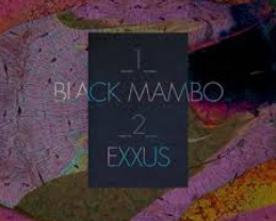 Glass Animals- Black Mambo