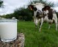 S.O.S lait et produits laitiers !