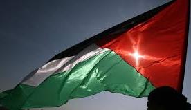 Manifestation pour Gaza à Pau