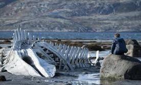 Leviathan de Andreï Zviaguinstev (2014)