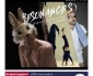 LE FACTOTUM DE MARS EST SORTI !