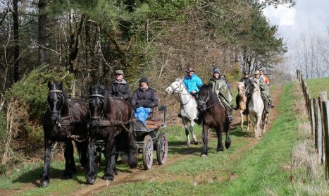 Easy Rider – By l’ADTE et sa cavalerie