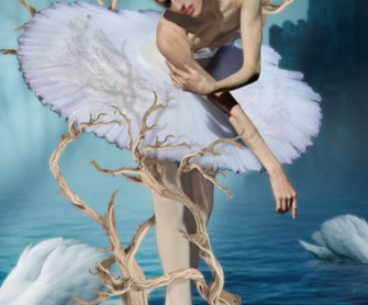 Jeu concours : Le Lac des Cygnes